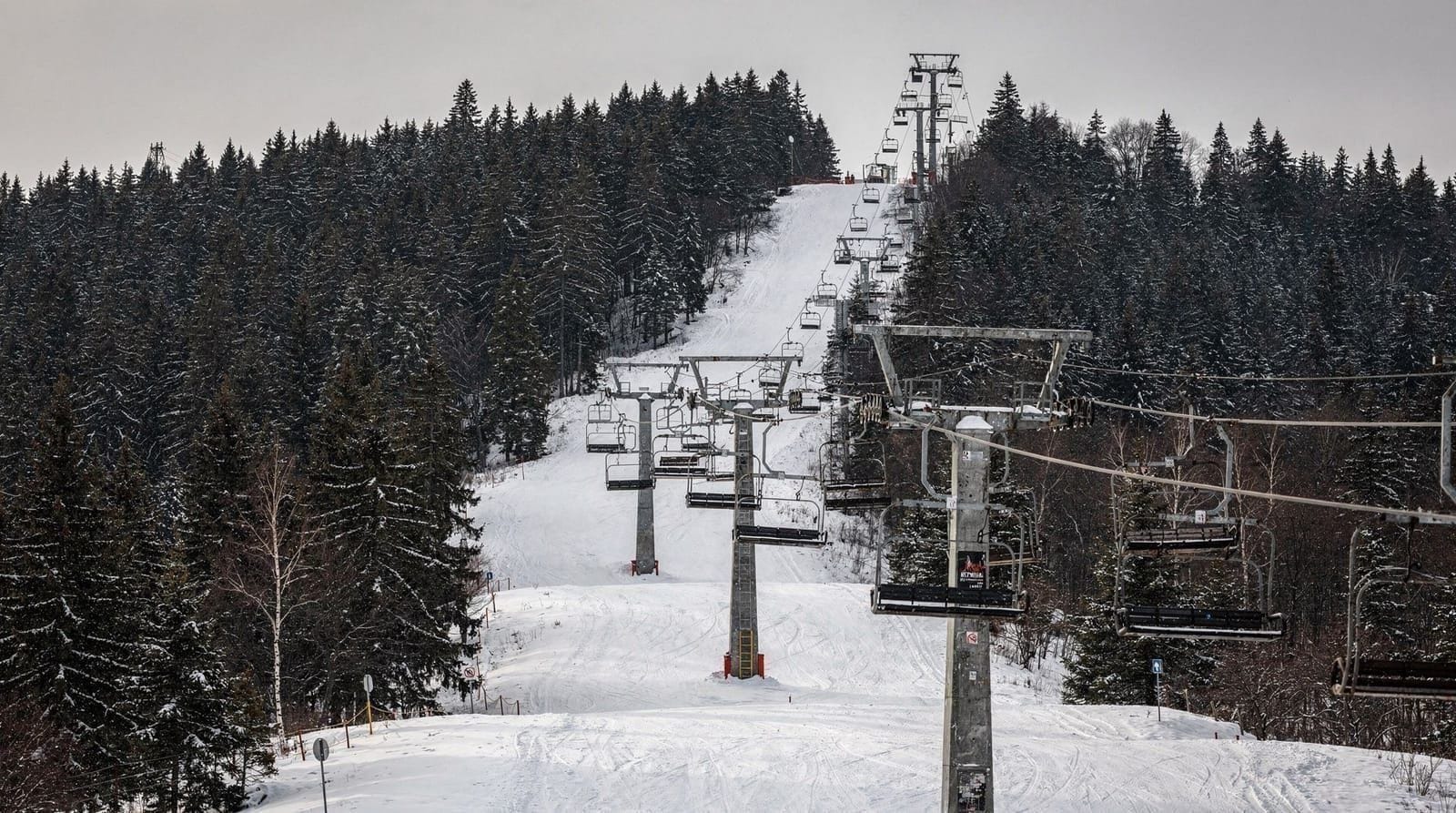 skiing-winter