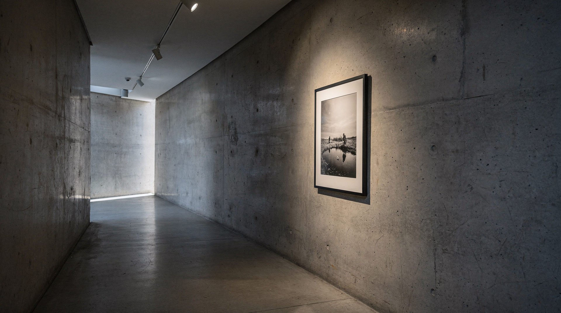 Gallery 11/07/95