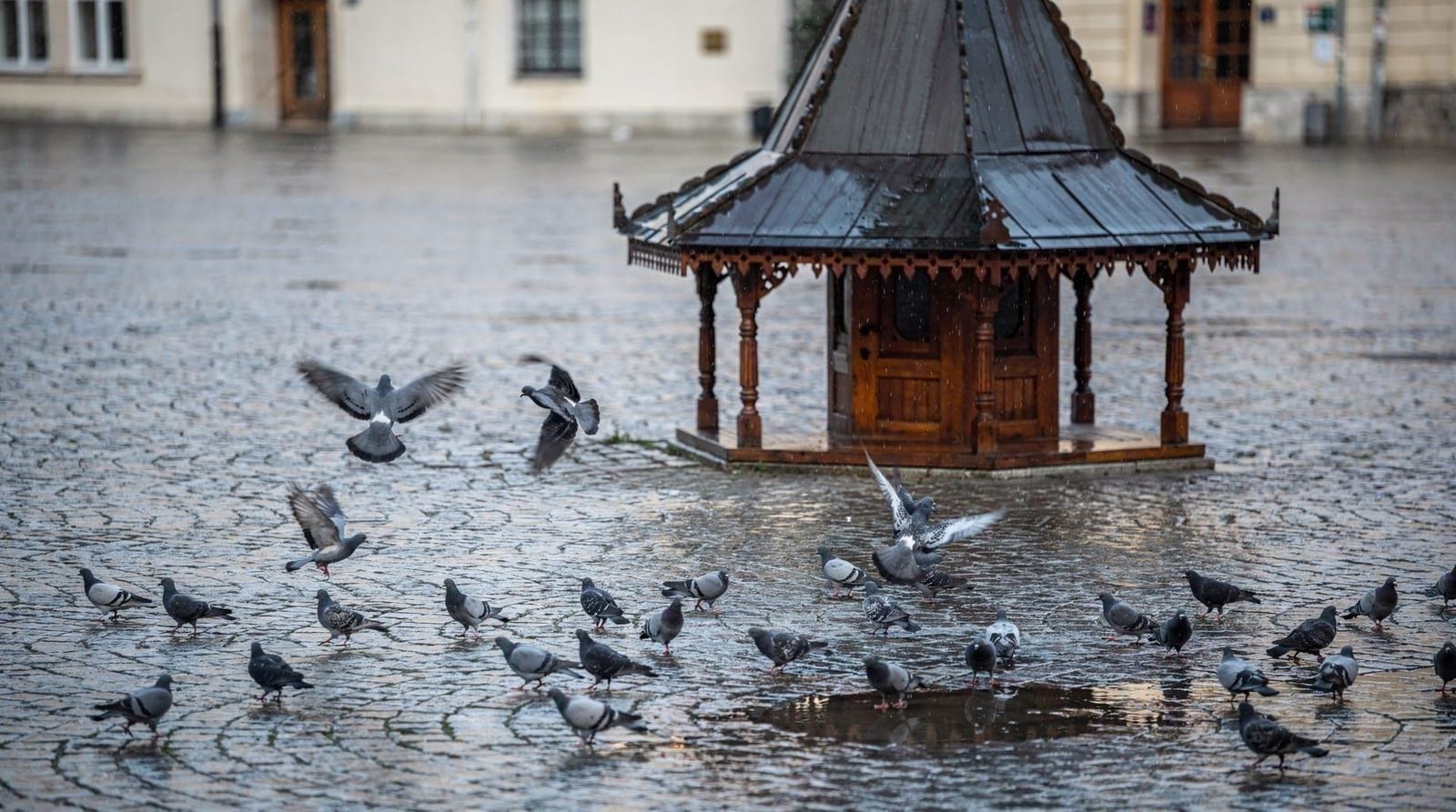 La fontaine Sebilj