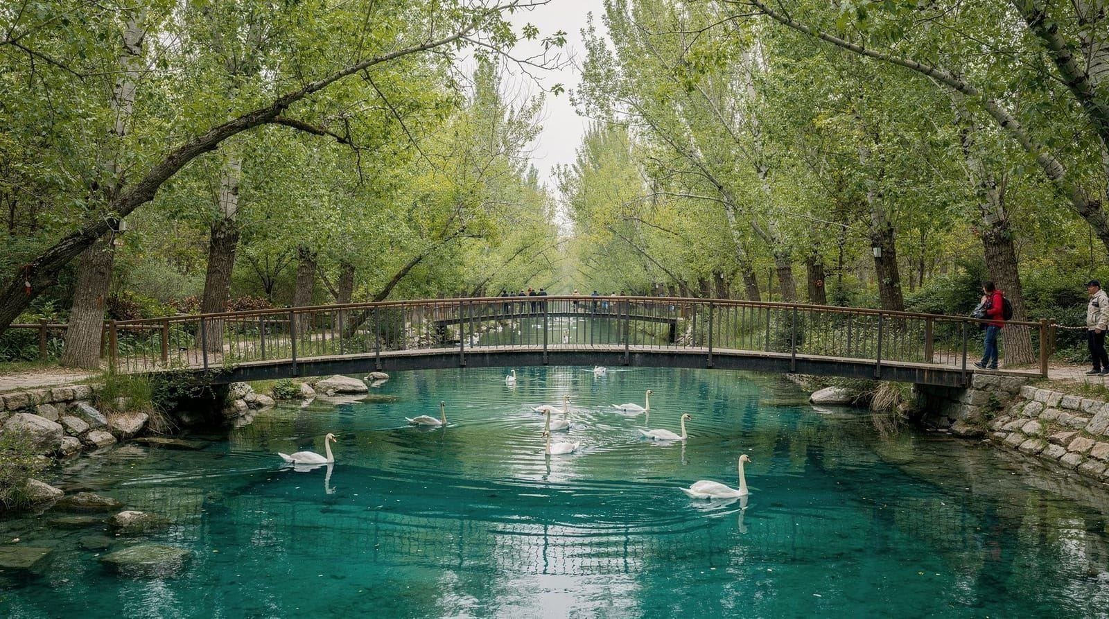 Vrelo Bosne