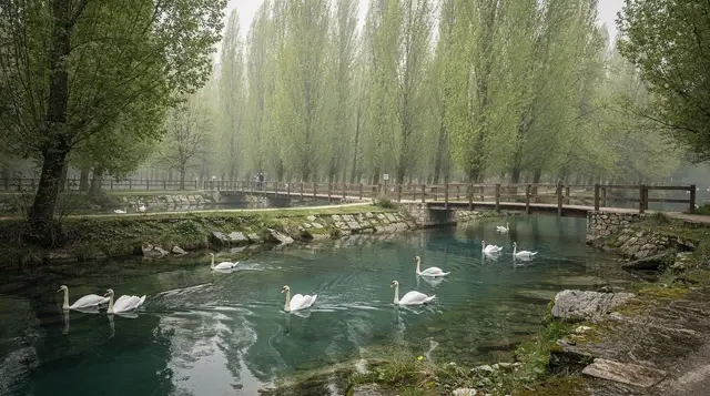Vrelo Bosne: a visiting guide